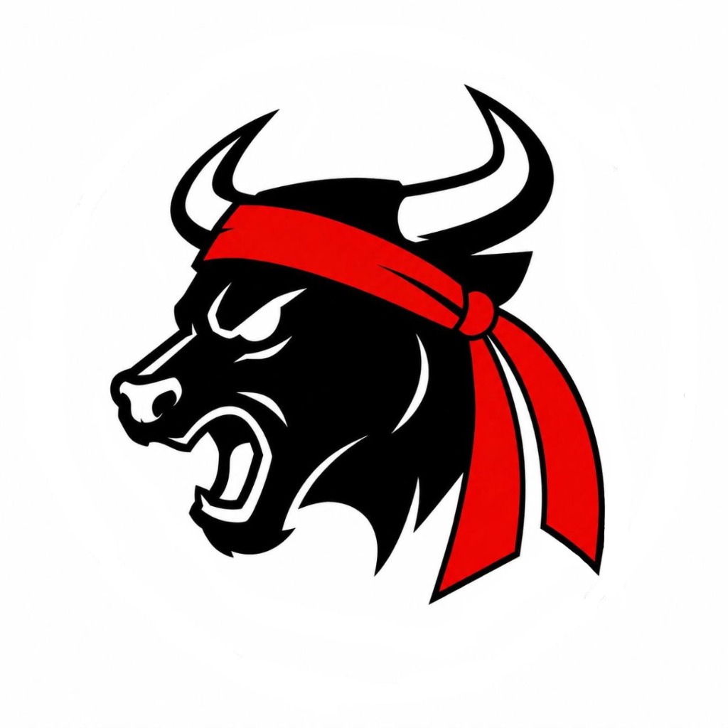 GMEBULL token