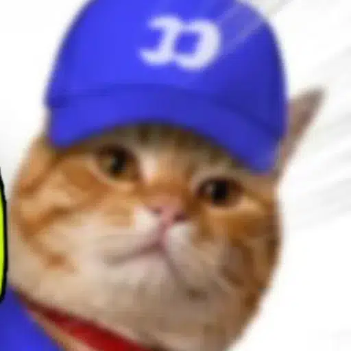 fomocat token